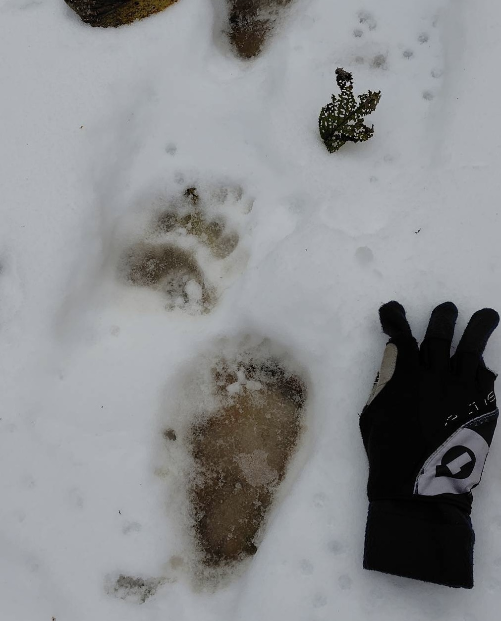 20251109-img_2792.jpeg 20251109-img_2792.jpeg