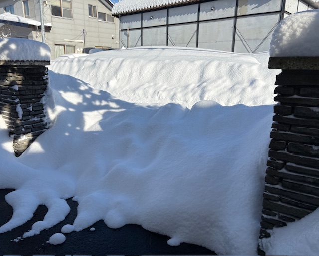 20260126-img_3061.jpeg 20260126-img_3061.jpeg