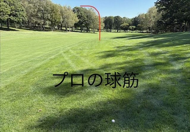 20261003-img_4091.jpeg